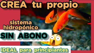 🔥🔥🔥 Sistema hidropónico CON PECES casero 👉 Hidroponía con peces en casa ECOSISTEMA NATURAL [upl. by Chrisman]