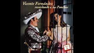 Vicente Fernandez Miseria [upl. by Fransisco]