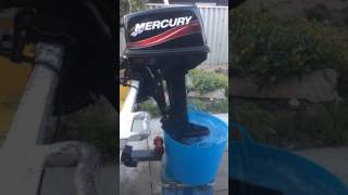 2010 6hp mercury outboard [upl. by Donni]