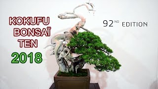 Kokufu Bonsai Ten 92ème édition 2018  Tokyo [upl. by Alesandrini]