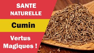 Cumin Les Incroyables Bienfaits pour Votre Corps et Astuces dUtilisation [upl. by Signe]