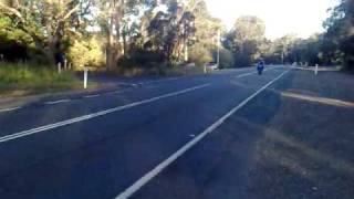 CBR250RR On Limiter 20000RPM [upl. by Harbird797]