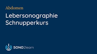 Leberultraschall Sonographie  Schnupperkurs  SONO2learn [upl. by Anwahsiek304]