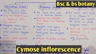 cymose inflorescence  uniparous biparous And multiparous inflorescence  Class Bsc Botany [upl. by Norvun]