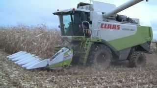 Moissonneuse Batteuse Claas lexion 550 amp bec à mais 6 rangs  2012 Franche Comté [upl. by Eenet]