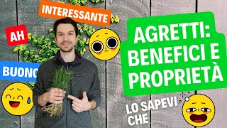 Agretti benefici e proprietà [upl. by Claresta]