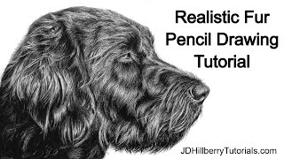 How to Draw Realistic Fur with Pencil  Tutorial [upl. by Orel]