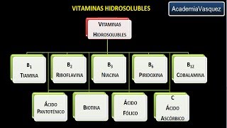 Vitaminas hidrosolubles Vitamina B1 o Tiamina [upl. by Gleich]