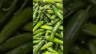 SERRANO PEPPER ABUNDANCE shorts thankyou pepper subscribe like share chili spices plant❤️❤️ [upl. by Adnala]