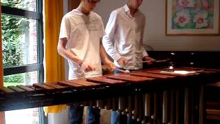 The Pirates Of The Caribbean  Medley Marimba [upl. by Rea587]