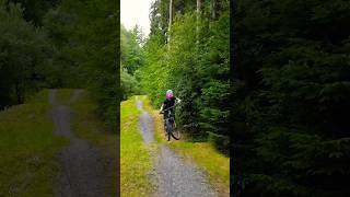 Jumping Jess Mabie forests little jump line mtblife mountainbike [upl. by Aikemahs]