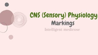 Chapter 46 Guyton  CNS Sensory Physiology Physiology Markings [upl. by Figueroa160]