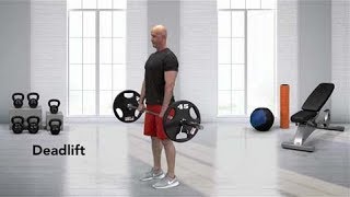 How to do a Barbell Deadlift [upl. by Grinnell]