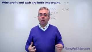 Why profit and cash are both important  MoneyWeek Videos [upl. by Rap600]