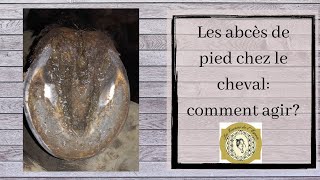 Les abcès de pied chez le cheval comment agir [upl. by Franck263]