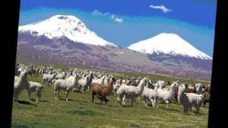 Mixtura Del Carnaval grupo Los Payas de Bolivia [upl. by Oicnecserc]