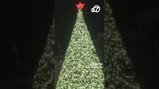 Macys tree lighting illuminates San Franciscos Union Square [upl. by Oly]