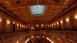 Musikverein Vienna [upl. by Killie13]