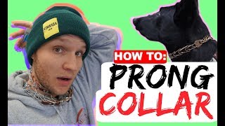 How to properly fit a prong collar  Sizing and position of the prong collar  Dog Training Collars [upl. by Gish]