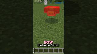 Meet the Red Spotted Turtle fyp shorts minecraft [upl. by Stout]