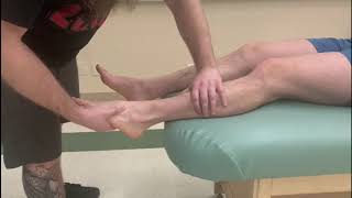 Manual Muscle Test and Lengthening  Fibularis Longus amp Brevis Lateral Compartment of the Leg [upl. by Htomit]