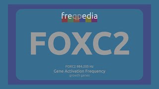 FOXC2 lymphatic system Gene Activation Frequency [upl. by Edrahc398]