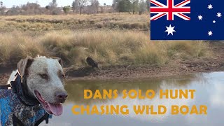 Pig Hunting Australia Dans solo run hunting wild boar [upl. by Aisekal652]