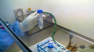 10 Demonstration of processing of sputum specimen for culture for diagnosis of tuberculosis [upl. by Emelin]