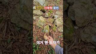 도자기 아래에 묻혀있는 금속 Metal detection Adventure [upl. by Nuawaj]