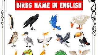 List of birdsNightingale Owlhamming bird List of birds for Pre school Birds name for learning [upl. by Khudari]