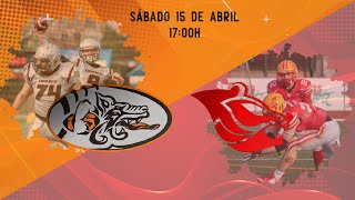 LNFA SerieA’23 SemifinalBadalona Dracs  Osos Rivas [upl. by Haodnanehs]