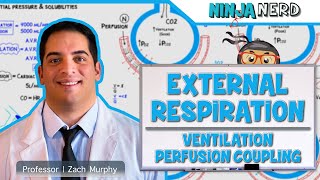 Respiratory  External Respiration Ventilation Perfusion Coupling [upl. by Gracie476]