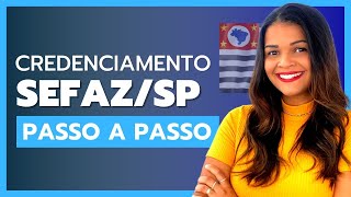 NOTA FISCAL MEI QUAL OPÇÃO ESCOLHER NO CREDENCIAMENTO SEFAZSP PASSO A PASSO ATUALIZADO [upl. by Otto]