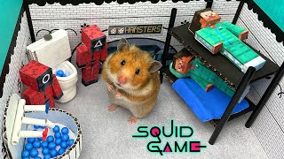 🐹Hamster vs Squid game Maze for pets 🐹 Escape in real life [upl. by Nugesulo]