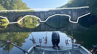 Carp Fishing in Front of a Bridge Summer Carp Fishing [upl. by Veljkov494]