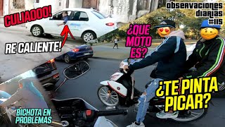 Encontré a Karol G en bici 🤯 Imprudentes vs Animales sueltos  Observaciones Diarias 115 [upl. by Revlys]