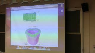 Aherns BB 350 at OSU  12 Membrane Lipids [upl. by Aicila]