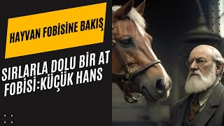 At Fobisi ve Zihin Küçük Hans Vakası ve Freudun Ruh Haritası [upl. by Cora]