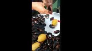 Midye Dolma Stuffed Mussels at Istanbul [upl. by Warthman]