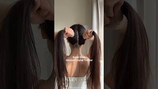 Super Slow Ponytail Hairstyle [upl. by Ynahpets]