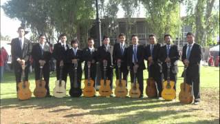 No Lo Beses  Rondalla Corazón Romántico De Saltillo [upl. by Hgielhsa]