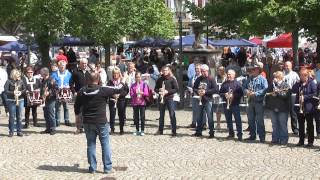 Fanfarenzug Plockhorst alte Besetzung Flashmob in Peine 2015 [upl. by Ahsinnor]