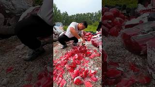 Polishing Shoes And Rocks  2 Videos shorts [upl. by Ahcropal]