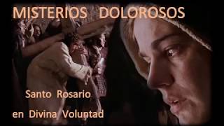 MISTERIOS DOLOROSOS MEDITADOS EN LA DIVINA VOLUNTAD [upl. by Kinata]