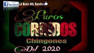 Puros Corridos Chingones🇲🇽☠️Parte 1☠️  By DJ Tauro [upl. by Nitsed]