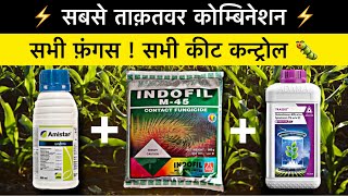 Best powerful fungicide and insecticide combination  trassid insecticide  Mancozeb 75  amistar [upl. by Asiralc]