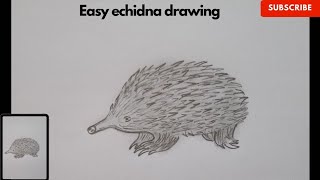 How to draw echidna। Easy echidna drawing । [upl. by Atneuqal199]