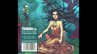 Toundra  Requiem [upl. by Yenffad]