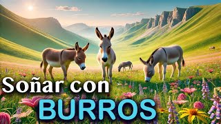 SOÑAR con BURROS ✨ Significado e Interpretación [upl. by Barnie257]