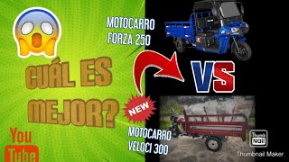 MOTOCARRO VELOCI 300 VS MOTOCARRO FORZA 250Cual es mejor🤔🧐 [upl. by Annoif]